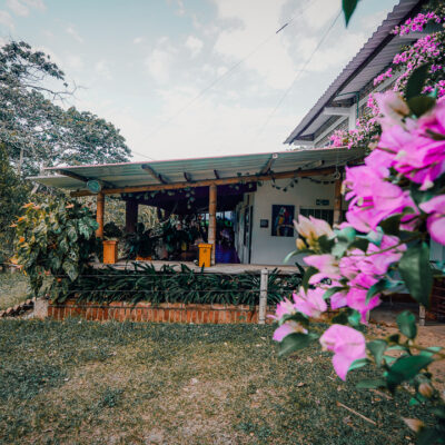 DSC01039