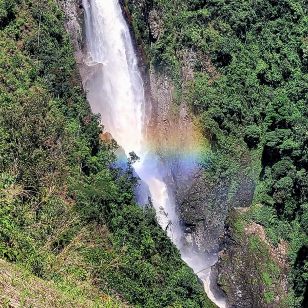 salto de bordones
