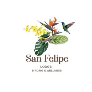 Foto del terapeuta