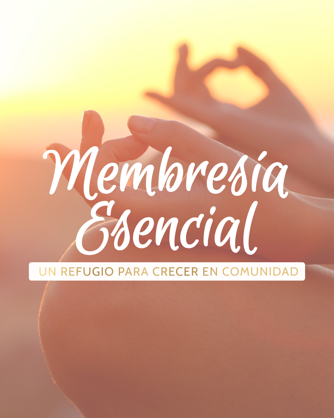 Membresía de Bienestar anual con expertos | Enlazando Almas