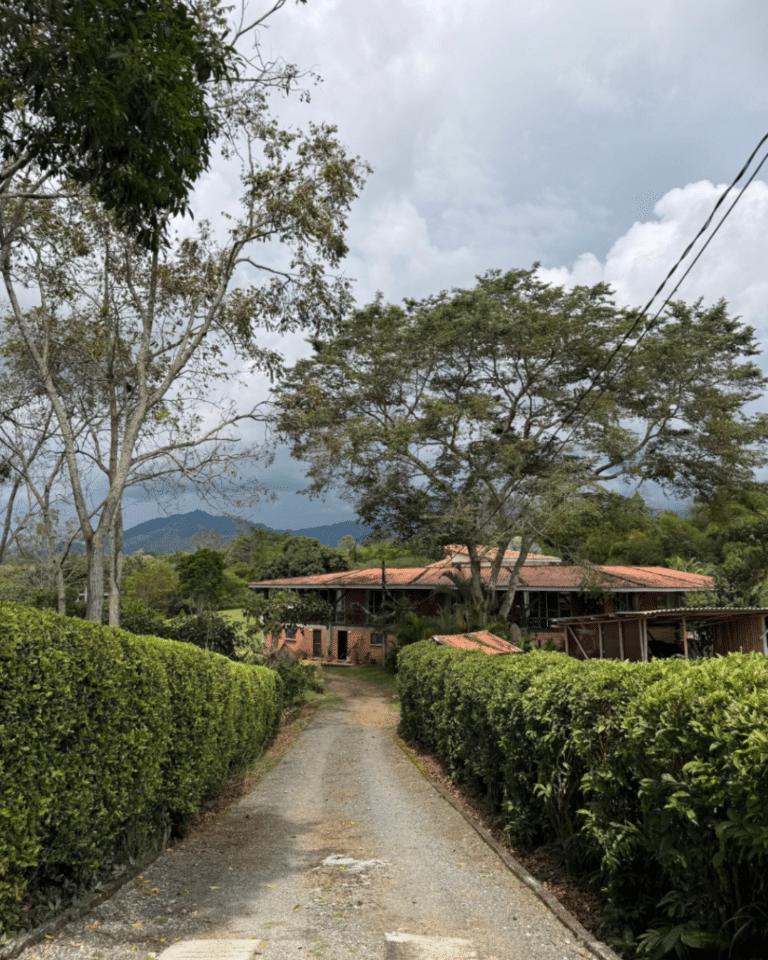 Kiosko Los Lagos