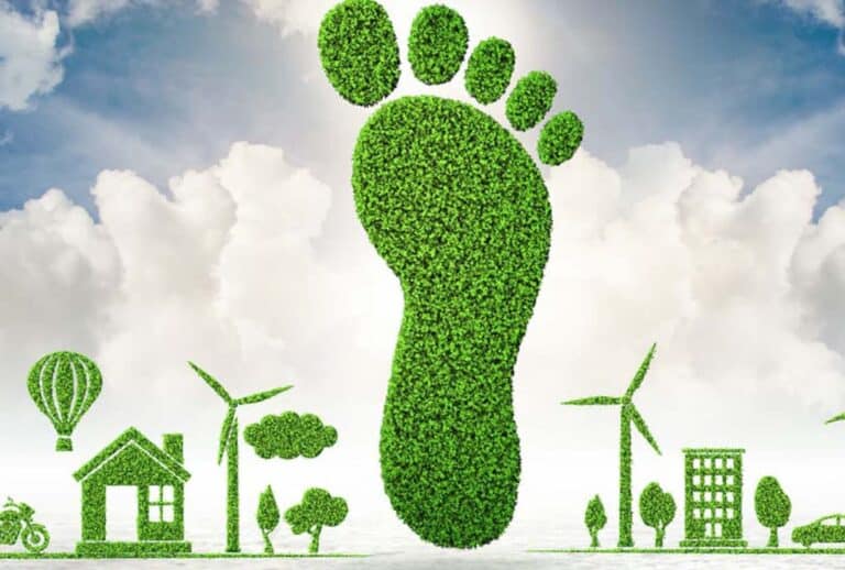 ¿Cómo reduzco mi huella de carbono? Una guía práctica desde Colombia