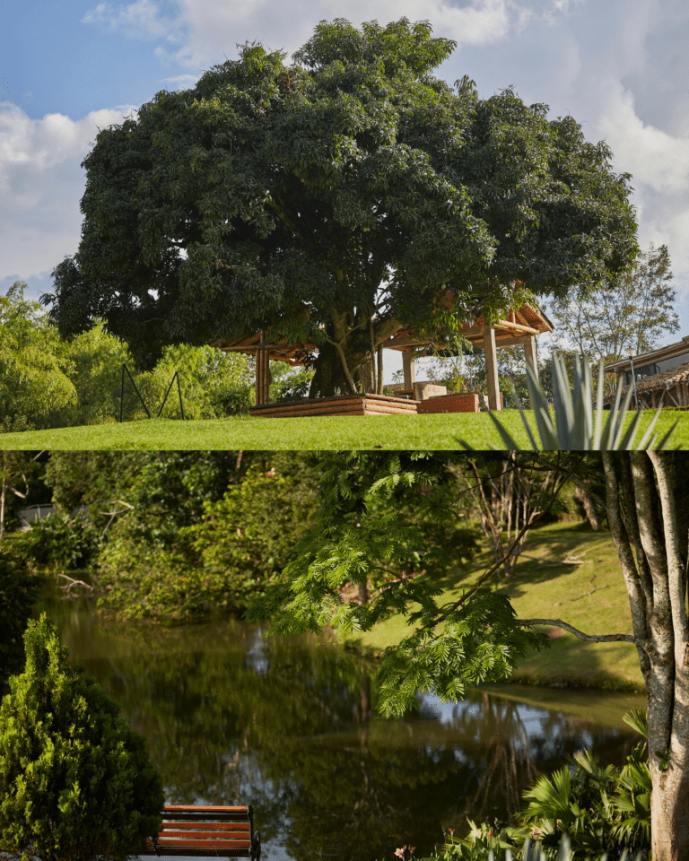 Kiosko Los Lagos