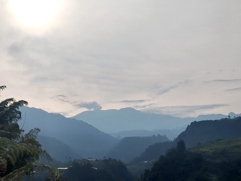 La soledad