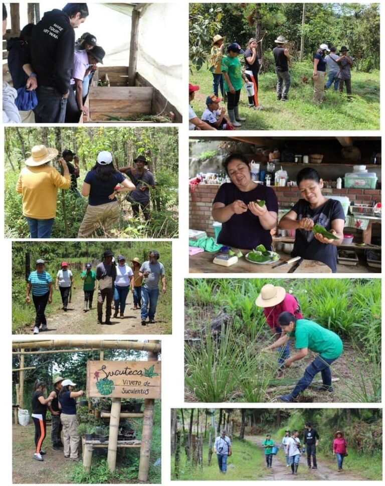 Sahual Tours