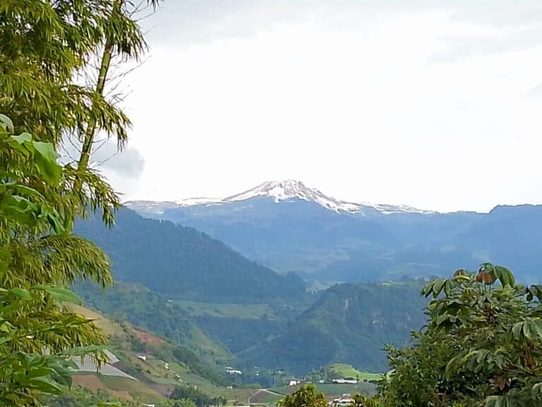 La soledad