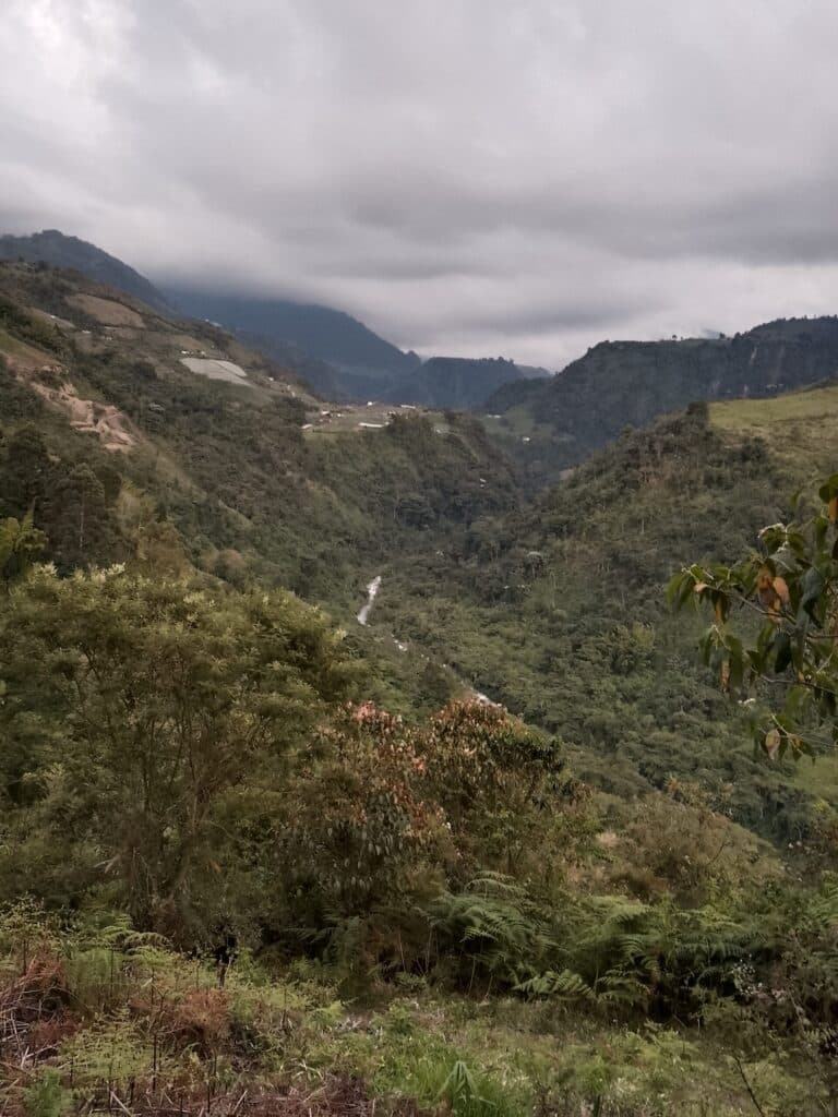 La soledad